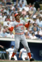 Dave Concepcion of the Cincinnati Reds 1981 Baseball Photo 13