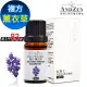 【 ANDZEN 】複方精油10ml-薰衣草 天然 草本