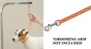DOG NYLON ORANGE PAW Print RESTRAINT Noose LOOP For Grooming Arm Table Bath Tub