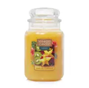 Yankee Classic Jar Candle - Large - Tropical Starfruit