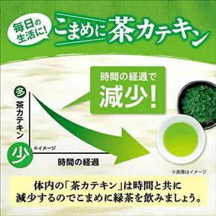 日本原裝 伊藤園 一壺茶 綠茶 2.5g×120袋 可冷泡 抹茶 茶包 煎茶 茶葉 日本茶 沖泡飲【小福部屋】