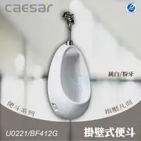 在飛比找蝦皮購物優惠-含稅 附發票《中部免運》CAESAR凱撒 U0221/BF4