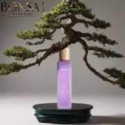 GRIS ERIK by Assaf Perfume Luxury Fragrance 200ml Unisex Long-Lasting