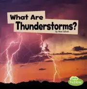 Wicked Weather What are Thunderstorms? by Mari Schuh (English) Paperback Book