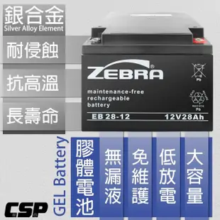 【CSP】EB28-12 銀合金膠體電池(12V28Ah電動車 電動機車 老人代步車 電動輪椅 更換電池 電池沒電)