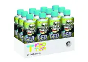 Black Tea with lemon - 24 x 500ml - 100% Natural - Sugar Free - Iced Tea