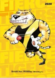 Richmond tigers AFL football premiers team photo,Geelong cats, Sydney swans
