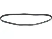 Compressor Multi Rib Belt For 2000-2004 Toyota Tundra 3.4L V6 2001 2002 YZ257TN (for: Toyota)