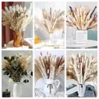 Artificial Plants Pampas Grass Bouquet Fluffy Fake Reeds Shooting Props