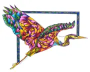 FLYING COLORS 8X10 HERON, BIRD Print from Artist Sherry Shipley