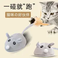 在飛比找蝦皮購物優惠-🚀台灣熱賣 電動老鼠玩具 自動逗貓 智能感應 小老鼠逗貓玩具