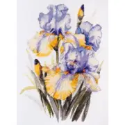 Counted Cross stitch kit Irises Flowers DIY