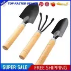 3Pcs/Set Mini Garden Tool Set Garden Digging Weeding Tool Shovel Rake Spade