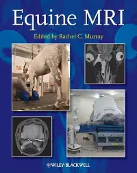 在飛比找博客來優惠-Equine MRI