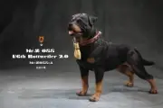 Mr.Z Studio 1:6 Scale Rottweiler Figure Pet Dog Animal Resin Companion canine