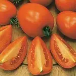 【媽咪蔬果園】、黃金橙蜜番茄