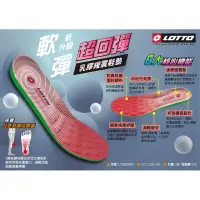 在飛比找蝦皮購物優惠-LOTTO 樂得 鞋墊 專業鞋墊 避震 回彈 乳膠鞋墊 足弓