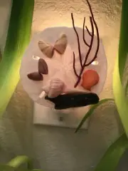 Butterfly Sand Dollar Night Light (SI) Purple Sea Fan Lightning Whelk Sea Horse