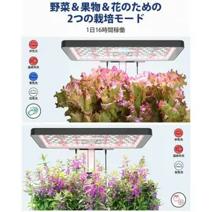 【日本代購】iDOO 水耕植物培育機 蔬菜 水果 12株 黑色