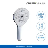 在飛比找momo購物網優惠-【CAESAR 凱撒衛浴】Immerse Shower 雨淋