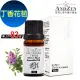 【 ANDZEN 】單方純精油10ml-丁香花苞 天然 草本