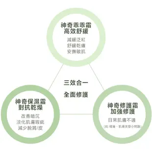 【Burt's Bees小蜜蜂爺爺】Burt’s Bees神奇積雪草本修護霜+神奇草本修護棒(蠶豆症適用)