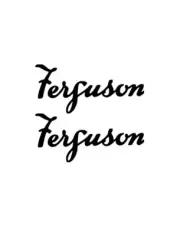 Ferguson vintage Classic tractor logo vinyl decals car van trailer caravan x 2
