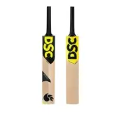 DSC Condor Surge English Willow Bat