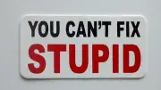 3 - You Can't Fix Stupid / Roughneck Hard Hat Oil Field Tool Box Helmet Sticker