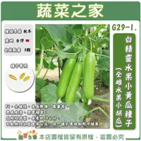 在飛比找蝦皮購物優惠-【蔬菜之家滿額免運】G29-1.白精靈水果小黃瓜種子3顆(有