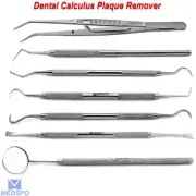 Hygiene Tartar Calculus Plaque Remover Tooth Scraper Scaler Dental Instruments