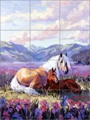Ceramic Tile Mural Backsplash Senkarik Horse Equine Art MSA039