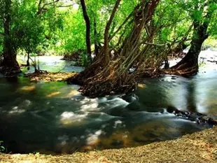 王同自然公園度假村Natural Park Resort de Wang Thong