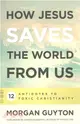 How Jesus Saves the World from Us ─ 12 Antidotes to Toxic Christianity