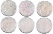 Healeved White Bright Nail Glitter Sequin Powder Fine Dust for Stunning Nail Art Decoration UV Gel Application for DIY Designs