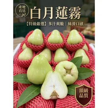 白玉蓮霧的價格推薦- 2026年05月|飛比價格