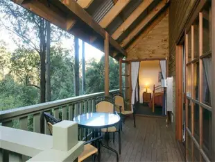 巴靈頓野松小屋Barrington Wilderness Cedar Lodge