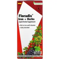 在飛比找iHerb優惠-[iHerb] Floradix，鐵 + 草本，液體草本補充