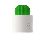 Desktop Vehicle Humidifier Built-In Led Nightlight Cactus Usb Humidifier - White