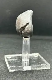 SIKHOTE-ALIN INDIVIDUAL METEORITE FROM RUSSIA 55,7 g