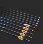 12pc Pure Carbon Arrow Spine Archery ID 4.2 Mm for Bow Shooting Hunt Arrow Tools