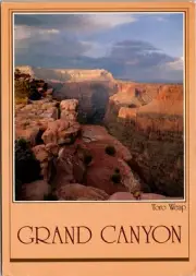 Postcard Continental Grand Canyon Toro Weap Overlook Littlefield Arizona AZ