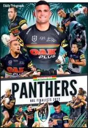Penrith panthers team Poster, NRL RUGBY Rabbitohs storm ,eels,books,roosters9