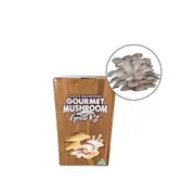 Aussie Mushroom Ready to Grow Mushroom Kit - Grey Oyster - Easy to Fruit