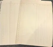 Antique Japanese Ledger Book Pages - 2 Sheets