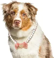 KUDES Exquisite and Adjustable Dog Necklace: Elegant Princess Style Pink Pearl Collar Necklace with Bow Accessories for Female Girl Dogs Occasions and Gatherings (Pink, 2XL(18.8-21.6 Inches))