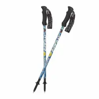 在飛比找PChome24h購物優惠-FIZAN 超輕三節式健行登山杖(2入) 梵谷星夜(3760