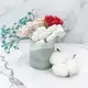 beagle - 5入/10入彩色愛心花插手工diy乾燥花裝飾不凋花束裝飾聖誕樹裝飾蛋糕插件 (1.7折)