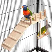 Bird Swing with Climbing Ladder - Sturdy Parakeet Cage Accessory and Play Gym for Small Birds