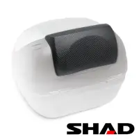 在飛比找momo購物網優惠-【SHAD】機車可攜快拆行旅箱 專用靠背墊(D0RI40 適